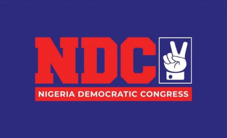 INEC denied us access code for candidates’ nomination – NDC