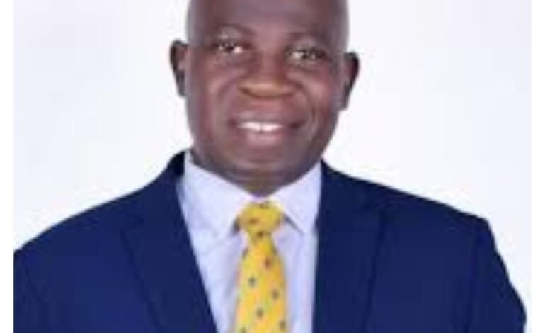 2027: Opposition needs to show capacity – Sambo