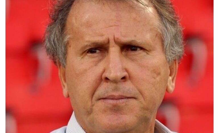 World Cup 2026: They play proper football – Zico predicts Brazil vs Japan