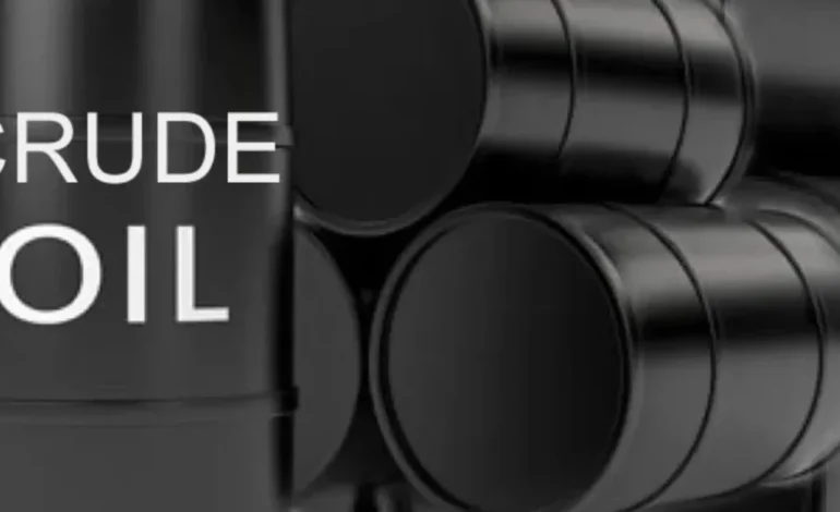 Local refineries import 2m barrels Libyan crude amid domestic shortage