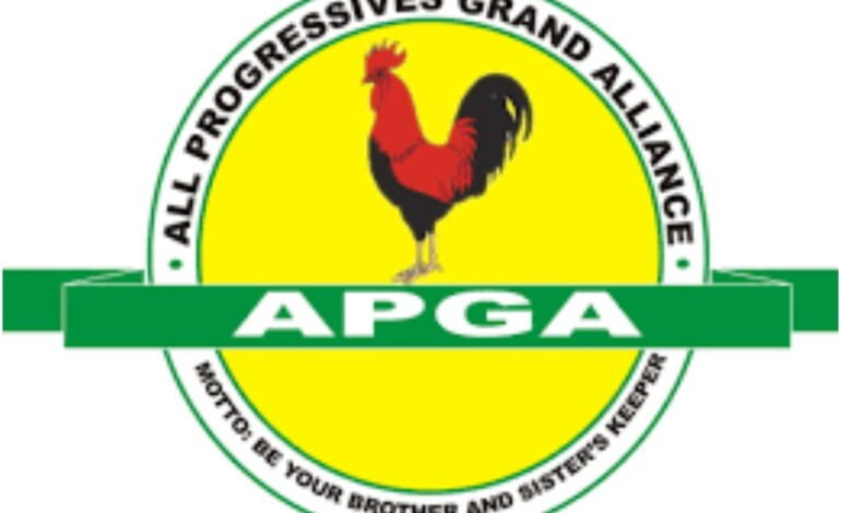 2027: Why we endorsed Tinubu – APGA