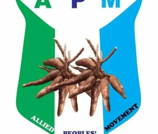 Tinubu’s Reelection’ll Mortgage Nigeria’s Future – APM