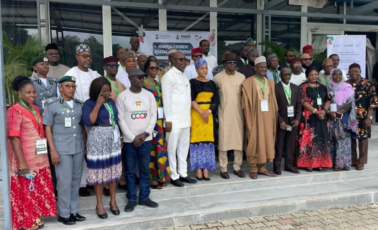 Nigeria Moves To Validate National Cashew Roadmap