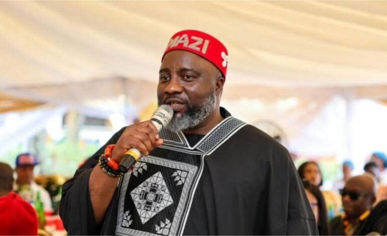 Appeal Court judgement saved Nigeria’s democracy – APP chieftain, Amadi