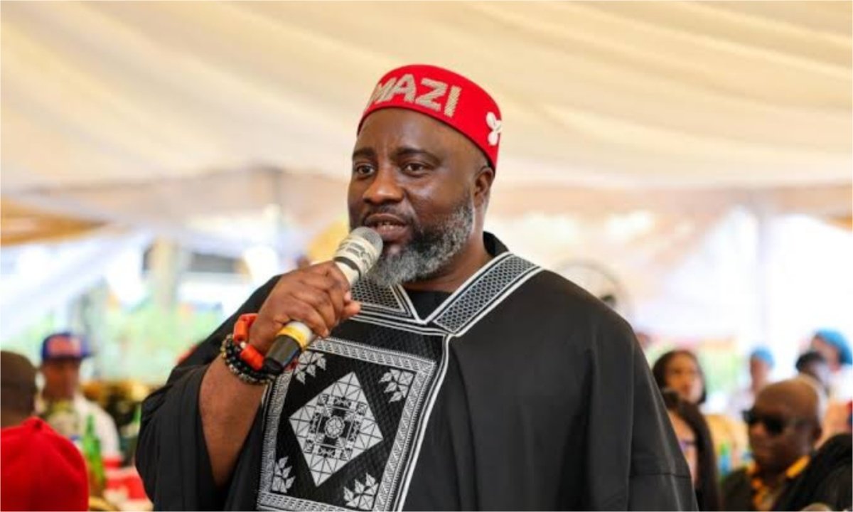 Appeal Court judgement saved Nigeria’s democracy – APP chieftain, Amadi