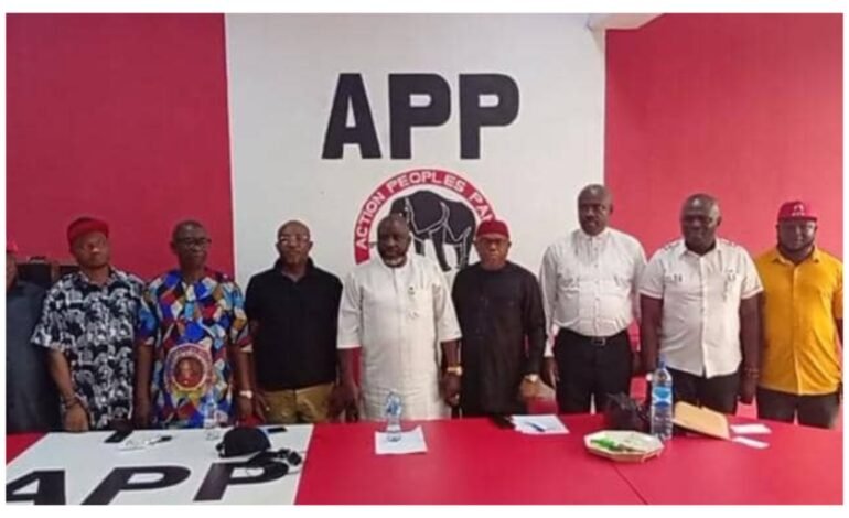 We are fully prepared to participate in 2027 general elections – Imo APP chair, Njesi