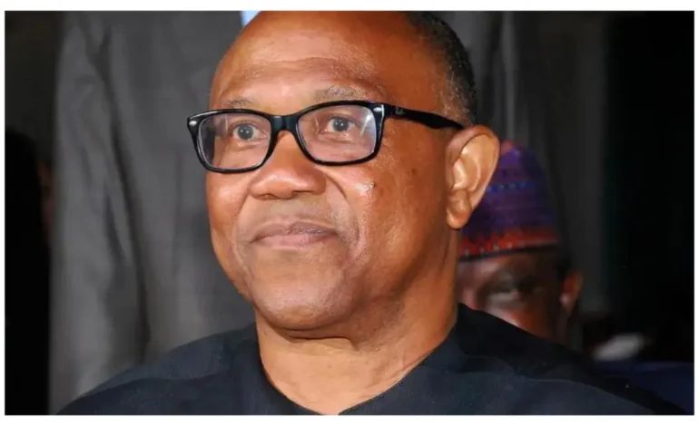 2027: Peter Obi remains best choice to rebuild Nigeria  — PDP chieftain