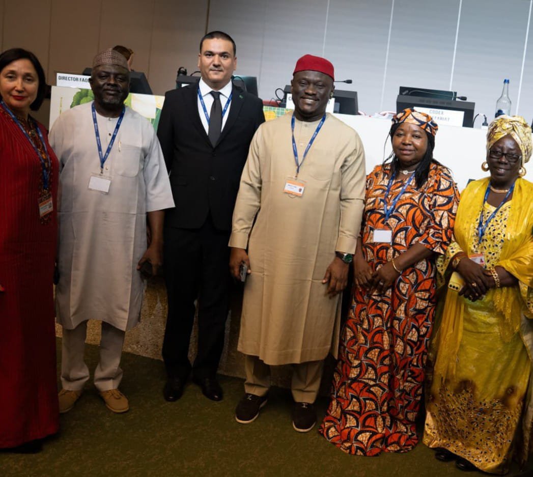SON Opens New Frontier For Nigeria’s Food Export Drive