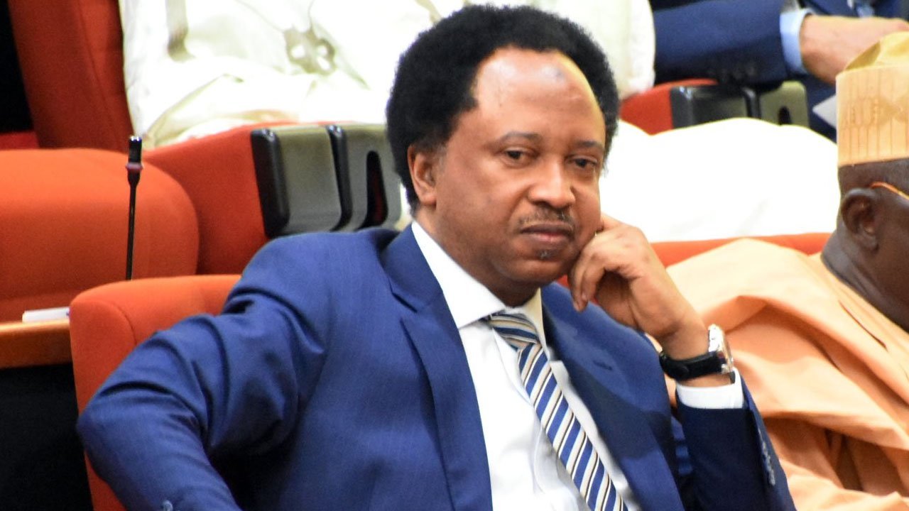 ‘Hell no’ — Atiku’s aide slams Shehu Sani over comment on ADC court victory