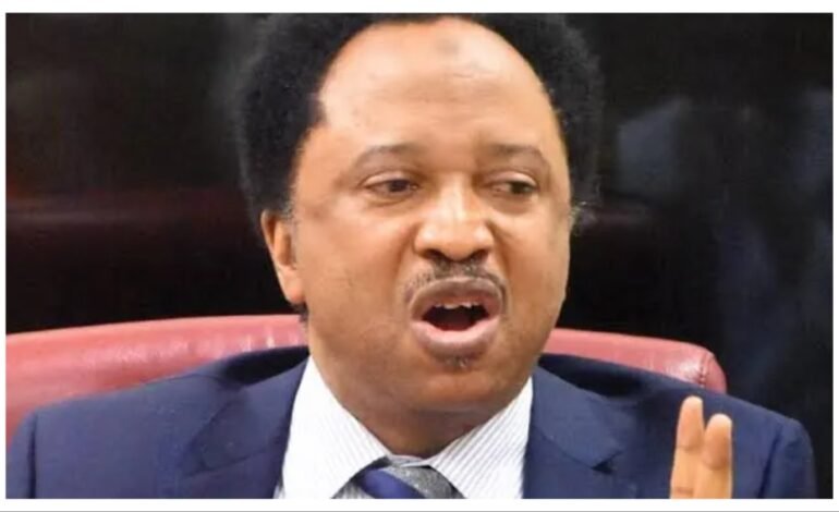 Engaging US lobbyists to criminalise Tinubu unconscionable, unpatriotic – Shehu Sani hits Atiku