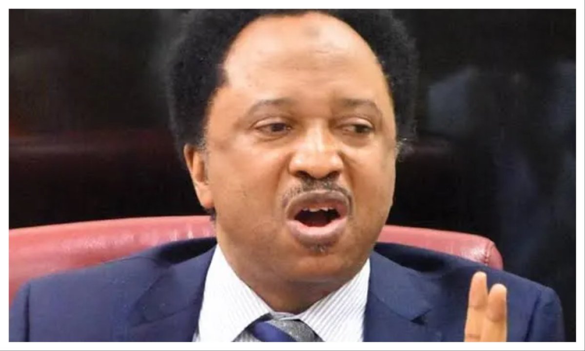 Engaging US lobbyists to criminalise Tinubu unconscionable, unpatriotic – Shehu Sani hits Atiku
