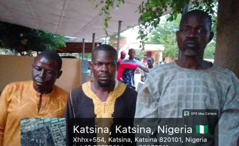 Troops rescue kidnap victim, recover 126 rustled livestock in Katsina