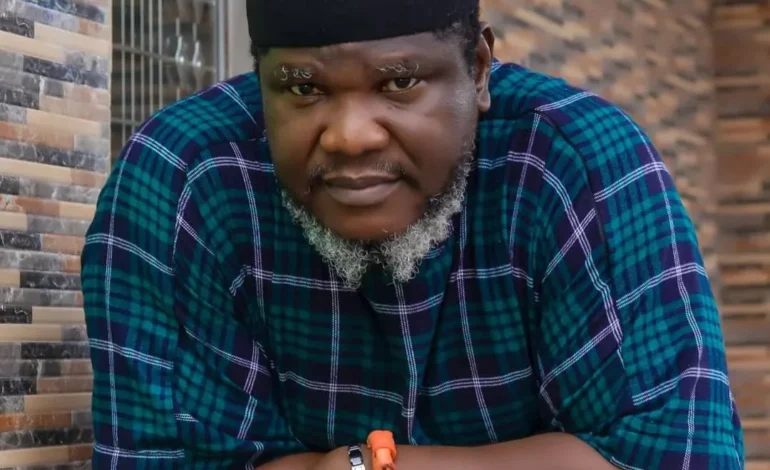 Nigerians not afraid of paying taxes but looters – Filmmaker, Ugezu