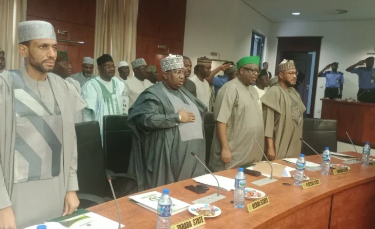 Northern govs unveil security trust fund board, commit ₦1bn monthly to tackle insecurity