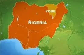 Police arrest 14 suspected drug dealers, seize illicit drugs in Yobe raid