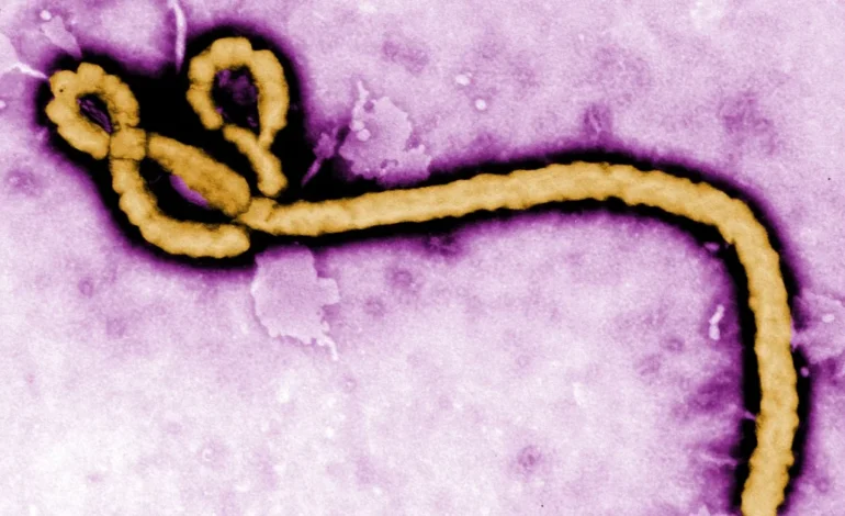 DR Congo Ebola outbreak ‘far from being under control’ – WHO