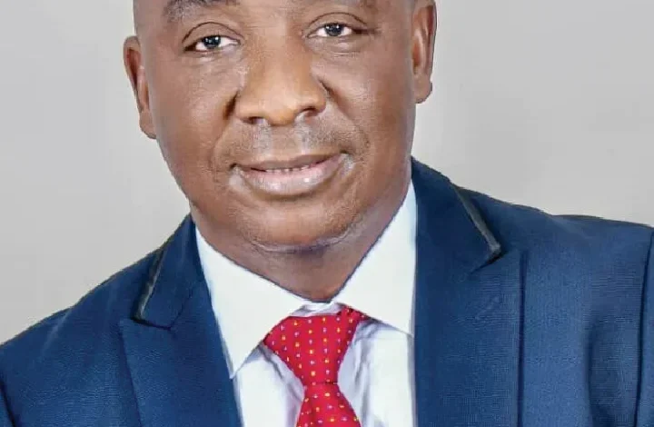 Stakeholders divided over NFF elections