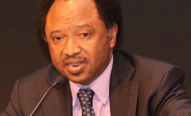 Adeleke-Tinubu Alliance Win-Win For Osun, Says Shehu Sani