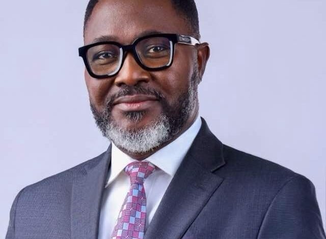 OPINION: The habit, not the steel – by Sola Adebawo
