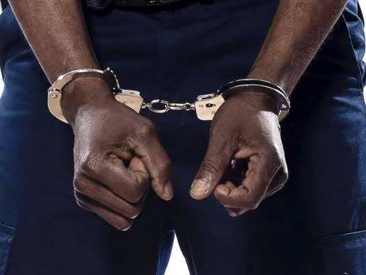 Two Nigerian women nabbed with N380m cocaine in India