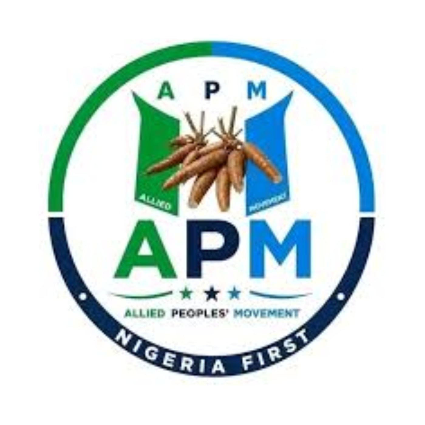 Okpebholo should resign over UK fuel price comparison – APM