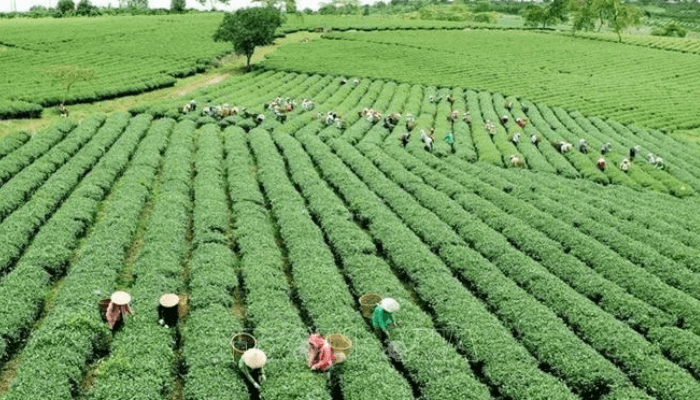 Over 100,000 Nigerians Benefit From £53.9m Euros GIZ Agric Finance Projects