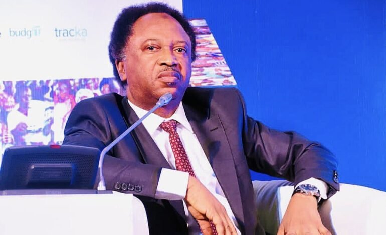 2027 Election Should Be Between Obi, Other Southern Candidates – Sani