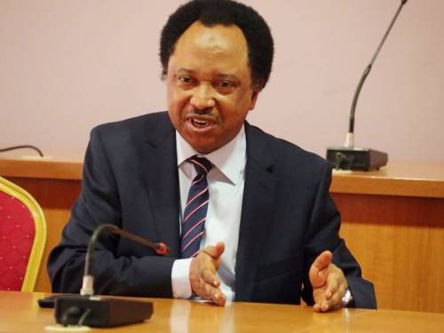 2027: Shehu Sani Warns Of Dangers Of Displacing Tinubu By Northern Political Leaders