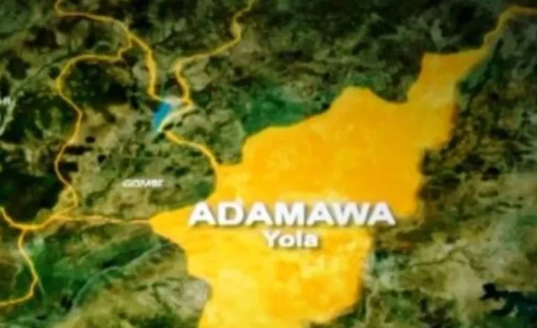 Customs seize ₦79m PMS, foreign rice in Adamawa