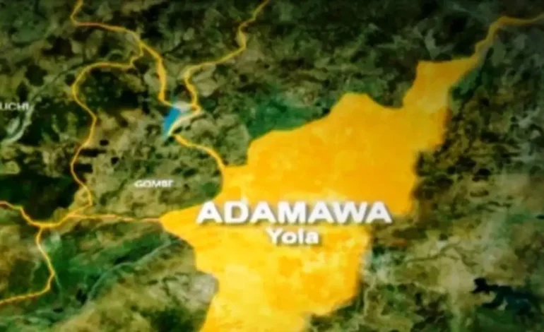 Adamawa LG Chairman Dies 3 Months After Taking Office
