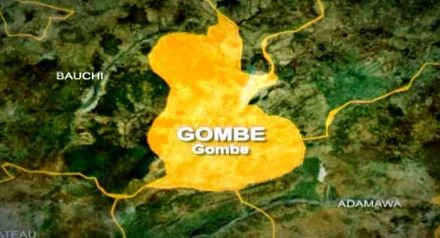 Gombe begins mass livestock vaccination