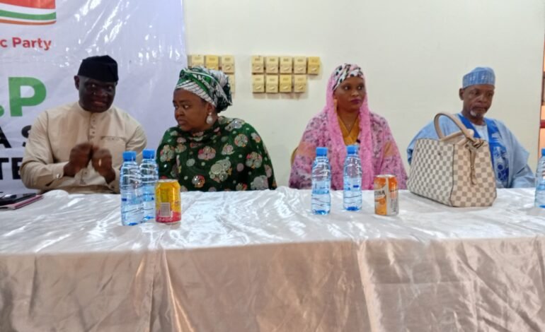 Adamawa NNPP Collapses Structures Into SDP As Party Guber Candidate Unveils Running Mate