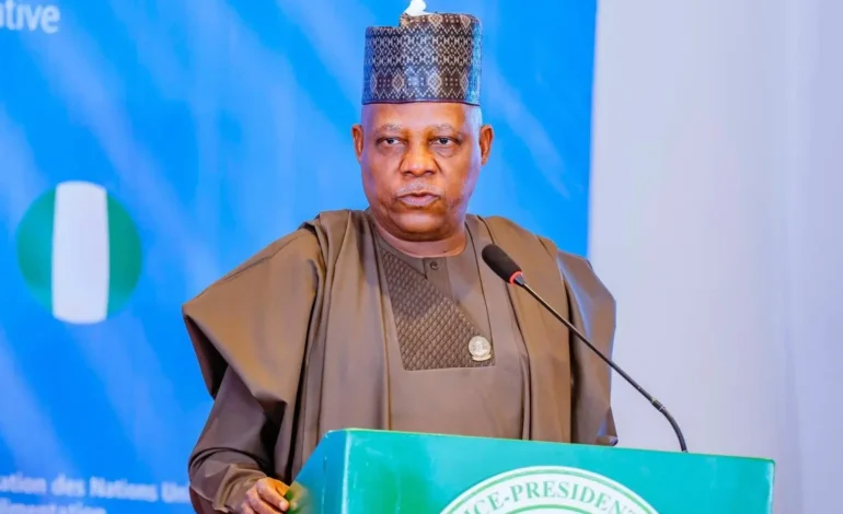 Copying, Implementing Foreign Policies Won’t Work In Nigeria Shettima Tells Opposition