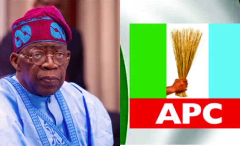 2027: ‘You can’t get credit for incomplete assignment’ – Tinubu tells APC
