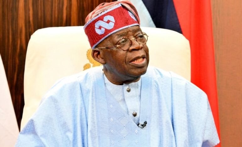 2027: ‘Don’t promise heaven and earth you can’t deliver’ – Arewa Forum to Tinubu govt