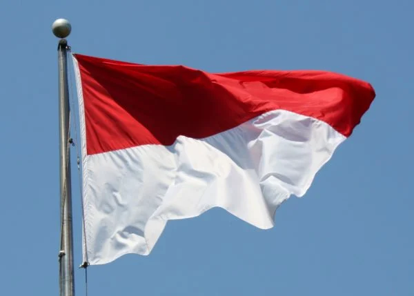 Four die battling wildfire in Indonesian national park