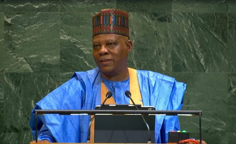 2027: Reciprocate Tinubu's support for north – Shettima